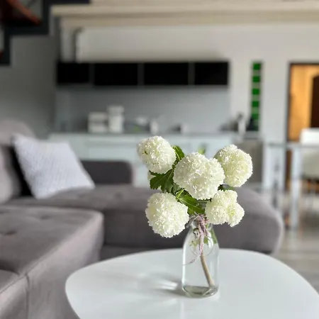 Modry Dom Apartment *